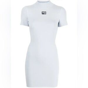 Alexander Wang Light Gray Mini Dress